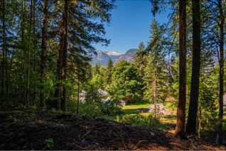 Commercial Land for Sale, Lot A Denver Siding Road, New Denver, BC