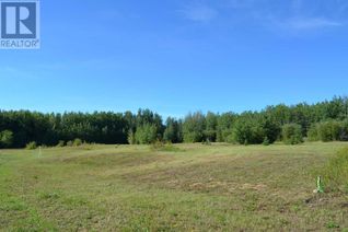 Commercial Land for Sale, 42-655062 Range Road 224, Rural Athabasca County, AB