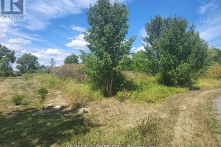 Land for Sale, Beside 55 North Marysburgh Court, Prince Edward County (North Marysburgh), ON