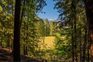 Commercial Land for Sale, Lot B Denver Siding Road, New Denver, BC