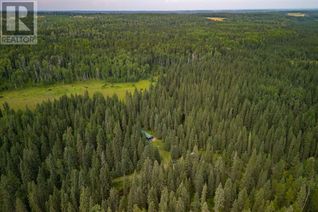 Land for Sale, Limpkin Flats Twp Rd 355, Rural Clearwater County, AB