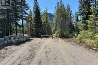 Commercial Land for Sale, Lot A Marion Avenue, Terrace, BC