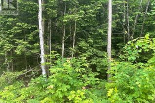 Commercial Land for Sale, 0 Big Hawk Lake Road, Algonquin Highlands, ON