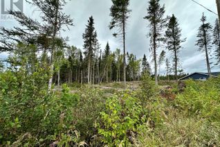 Land for Sale, 1 Mera Drive, Reidville, NL