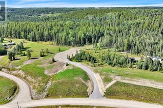 Land for Sale, 210 Misty Valley Close, Rural Clearwater County, AB