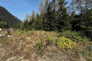 Commercial Land for Sale, Sve39 Old Hope Princeton Highway, Hope, BC