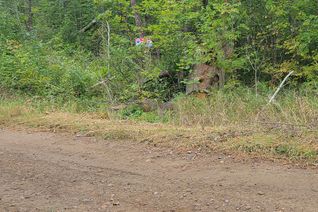 Vacant Residential Land for Sale, PtLt27 O'Donnell Rd, Addington Highlands, ON