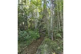 Commercial Land for Sale, 11328 E 16 Highway, Valemount, BC