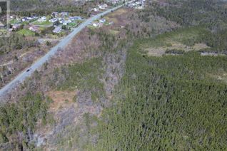 Commercial Land for Sale, 421-481 Foxtrap Access Road, Conception Bay South, NL