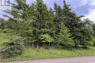 Land for Sale, Lot 138 Columbia Drive, Anglemont, BC