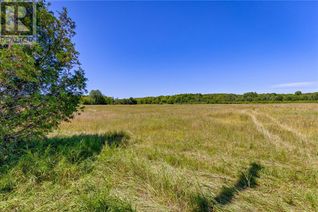 Land for Sale, Lt 2 Foymount Road, Eganville, ON