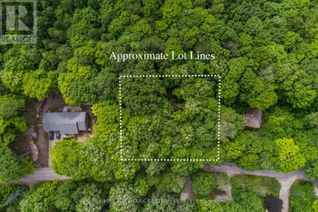 Commercial Land for Sale, 0 Teds Lane, Galway-Cavendish and Harvey, ON