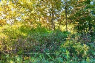 Vacant Residential Land for Sale, 82 Conchie Rd, Tweed, ON