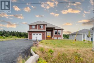 Detached House for Sale, 251 Back Line, St. John's, NL