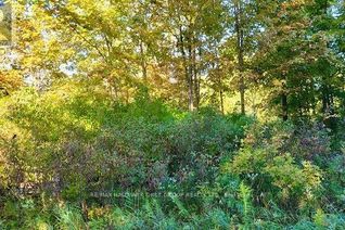 Commercial Land for Sale, 82 Conchie Road, Tweed, ON