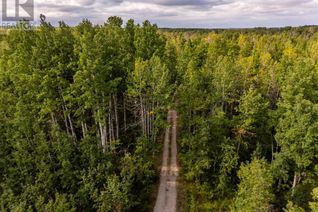 Commercial Land for Sale, 40 Acres Range Road 44, Rural Mountain View County, AB