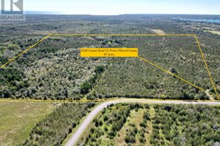 Commercial Land for Sale, 3526 County Rd 13, Prince Edward County (South Marysburgh), ON