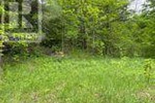 Commercial Land for Sale, 1915 County Road 48 Road, Havelock-Belmont-Methuen, ON