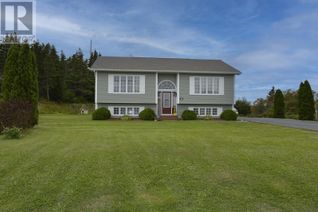 Detached House for Sale, 15 Discovery Place, Carbonear, NL