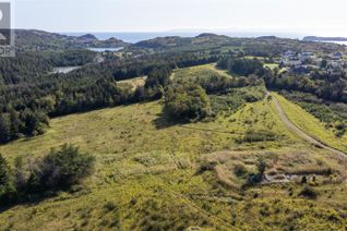 Land for Sale, Parcel A Lily Pond Road, Carbonear, NL