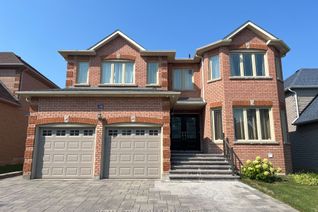 Property for Rent, 14 Greenhill Ave #Bsmt, Richmond Hill, ON