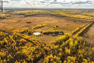 Commercial Land for Sale, 11147 790 Township, Rural Saddle Hills County, AB