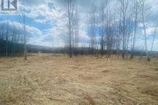 Commercial Land for Sale, 1007, 1009, 1011 20th Avenue, Marlboro, AB