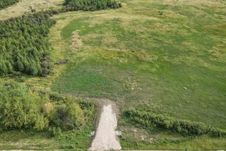 Land for Sale, Lot 1 Twp 504 Range Road 65, Rural Brazeau County, AB