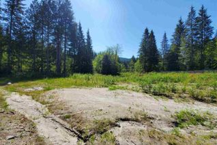 Land for Sale, 12767 Cardinal Street, Mission, BC