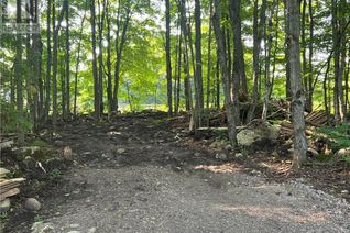 Land for Sale, Pt Lt 24 Unopened Rd All, South Bruce Peninsula, ON