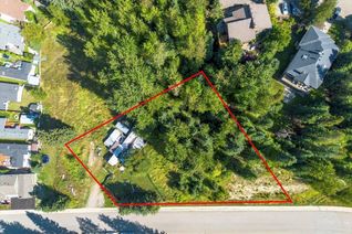 Vacant Residential Land for Sale, 55 Castle Mountain Road, Fernie, BC