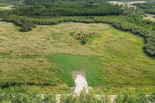 Land for Sale, Lot 2 Twp 504 Range Road 65, Rural Brazeau County, AB