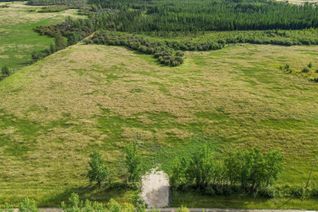 Land for Sale, Lot 3 Twp 504 Range Road 65, Rural Brazeau County, AB