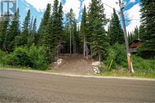 Commercial Land for Sale, 145 Cougar Road, Mount Baldy, BC