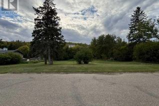 Commercial Land for Sale, 10702 90 Street, Peace River, AB