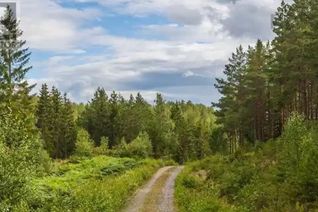 Land for Sale, Conquerall Road, Conquerall Mills, NS