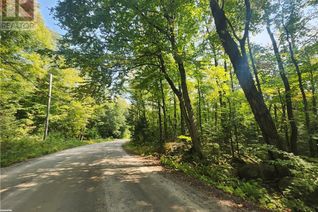 Commercial Land for Sale, 0 South Horn Lake Road, Burk's Falls, ON