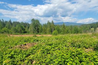 Land for Sale, Dl 2620 Yellowhead Highway #LOT 1, Clearwater, BC