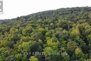 Land for Sale, Lot C Parcher Road, Madawaska Valley, ON