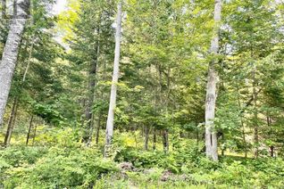 Commercial Land for Sale, Lot A Chippawa Road, Barry's Bay, ON