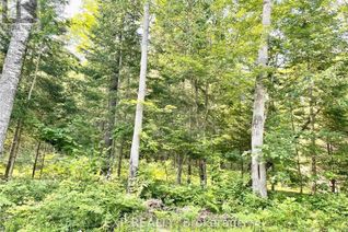 Land for Sale, Lot A Chippawa Road, Madawaska Valley, ON