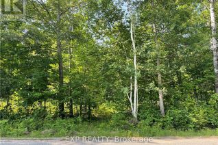 Land for Sale, Lot B Chippawa Road, Madawaska Valley, ON