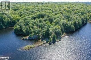 Commercial Land for Sale, 44 Bell Lake Road, McDougall, ON