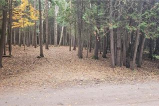 Commercial Land for Sale, 31-35 Cemetery Road, Saugeen Shores, ON