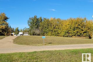 Commercial Land for Sale, 40, 255041 Twp Rd 472, Rural Wetaskiwin County, AB