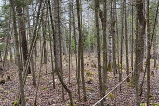 Land for Sale, Part 20 Bay Estates Rd N, Sheguiandah, ON