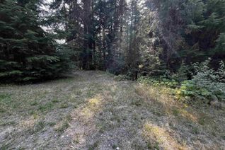 Commercial Land for Sale, 14740 Parkview Avenue, Sunshine Valley, BC