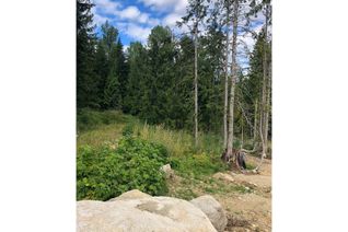 Commercial Land for Sale, 311 Ridge Road, Rossland, BC