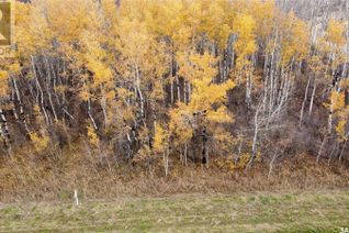 Commercial Land for Sale, 25 Black Bay, Barrier Valley Rm No. 397, SK