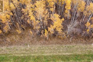 Commercial Land for Sale, 12 Lakeview Road, Barrier Valley Rm No. 397, SK